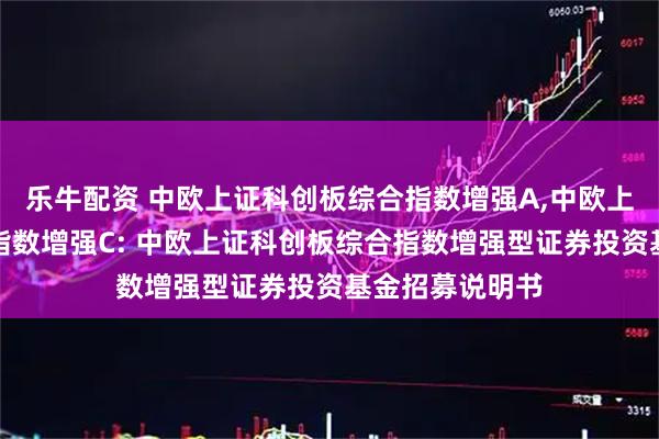 乐牛配资 中欧上证科创板综合指数增强A,中欧上证科创板综合指数增强C: 中欧上证科创板综合指数增强型证券投资基金招募说明书