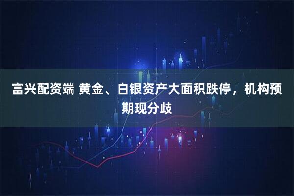 富兴配资端 黄金、白银资产大面积跌停，机构预期现分歧