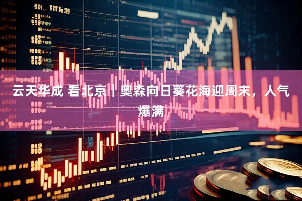 云天华成 看北京｜奥森向日葵花海迎周末，人气爆满